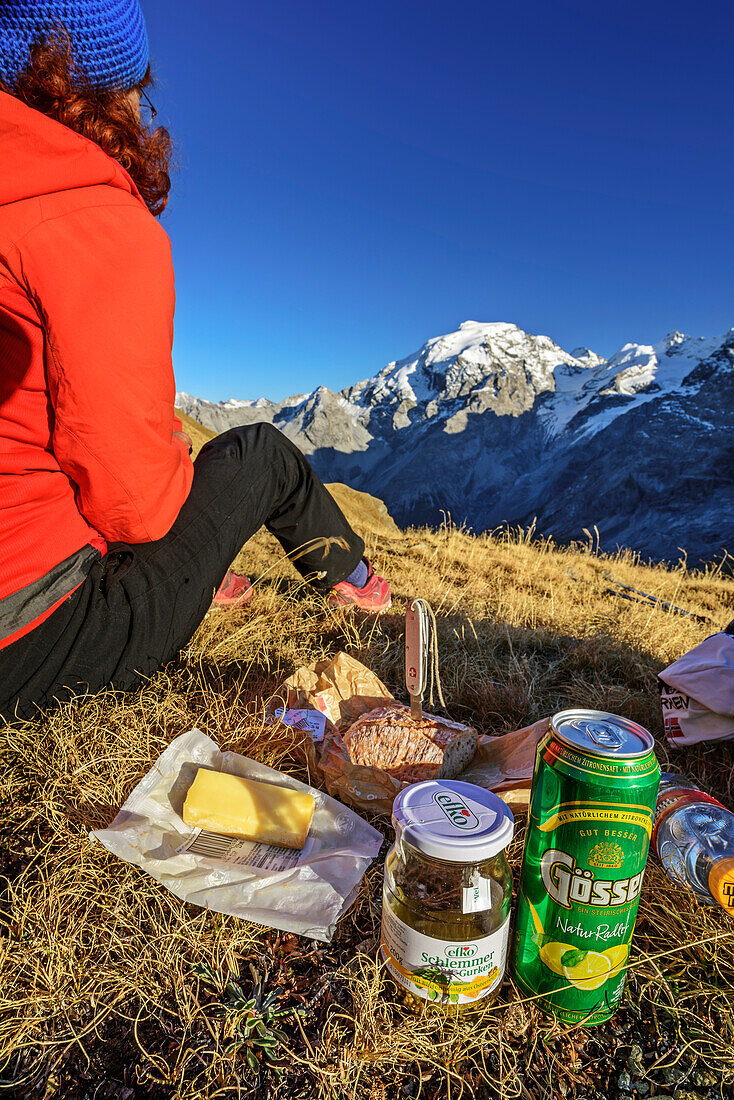 Woman sitting in meadow with picknick, Ortler in background, Stilfser Joch, Ortler group, South Tyrol, Italy