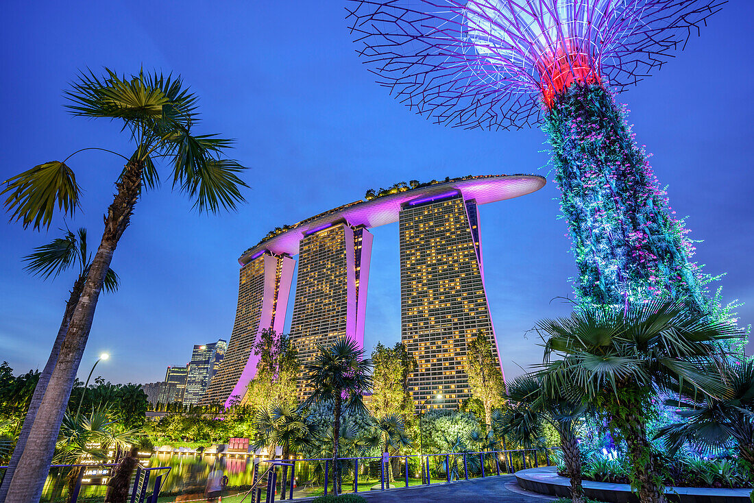 Beleuchtetes Marina Bay Sands und SuperTrees in Garden of the Bay, Marina Bay, Singapur