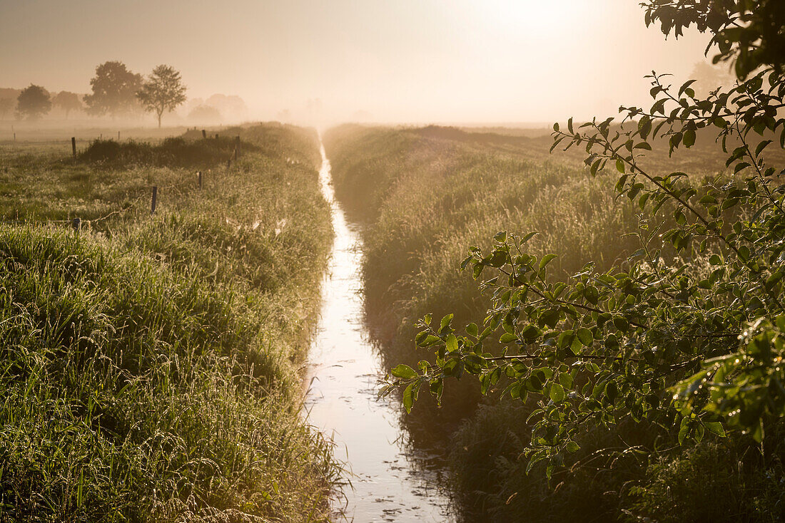 Graben zwischen Viehweiden im Nebel bei Sonnenaufgang, Hesel, Friedeburg, Wittmund, Ostfriesland, Niedersachsen, Deutschland, Europa