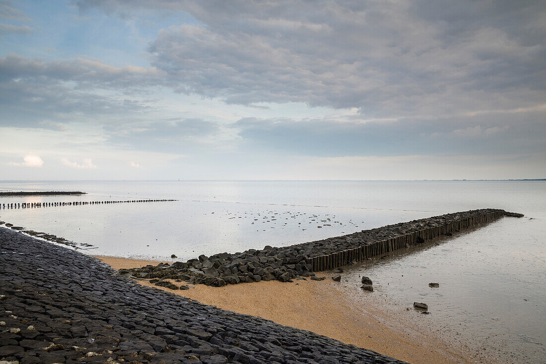 Buhne am Jadebusen im Abendlicht, Nationalpark Wattenmeer, Nordsee, Wilhelmshaven, Niedersachsen, Deutschland, Europa