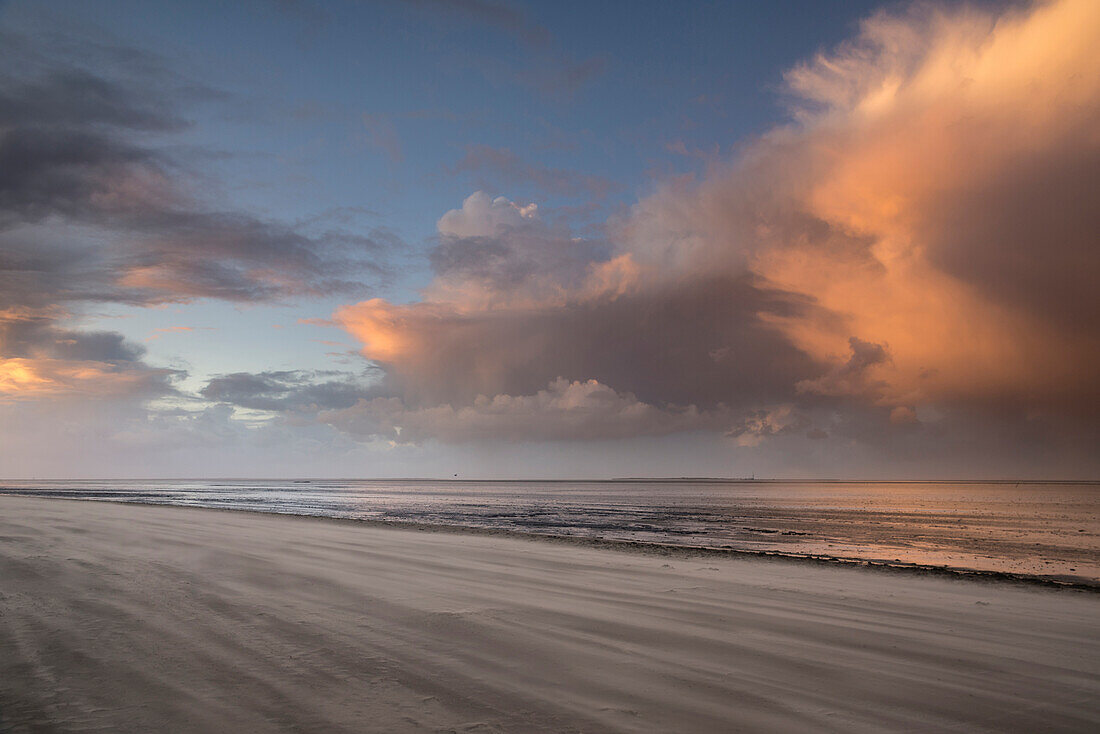 Sandy beach in evening light at storm, North Sea, Wattenmeer National Park, Schillig, Wangerland, Friesland District, Lower Saxony, Germany, Europe