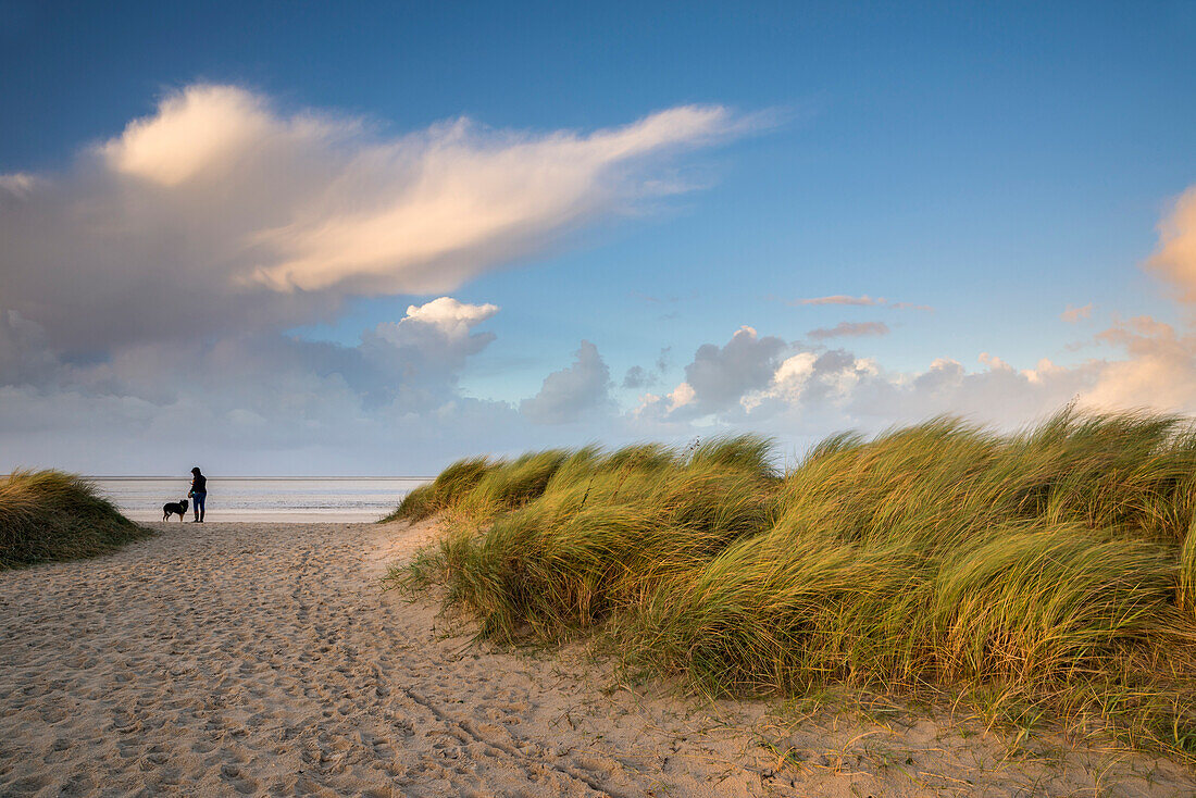 Path between sand dunes in evening light, North Sea, Wattenmeer National Park, Schillig, Wangerland,  Friesland District, Lower Saxony, Germany, Europe