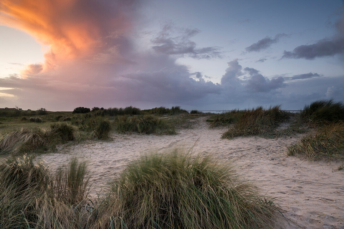 Sand dunes in evening light at storm, North Sea, Wattenmeer National Park, Schillig, Wangerland, Friesland District, Lower Saxony, Germany, Europe