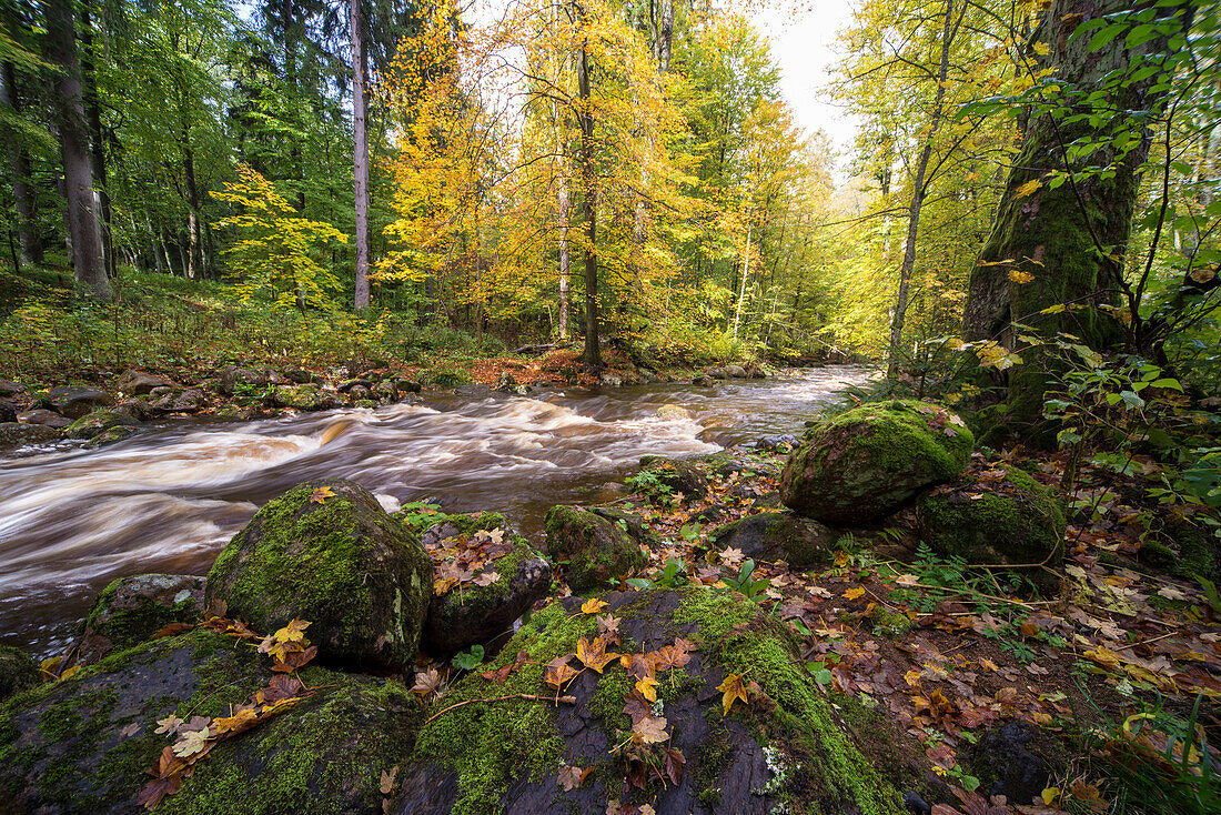 Fluss Kalte Bode, Elendstal, Elend, Oberharz, Landkreis Harz, Nationalpark Harz, Sachsen-Anhalt, Deutschland, Europa