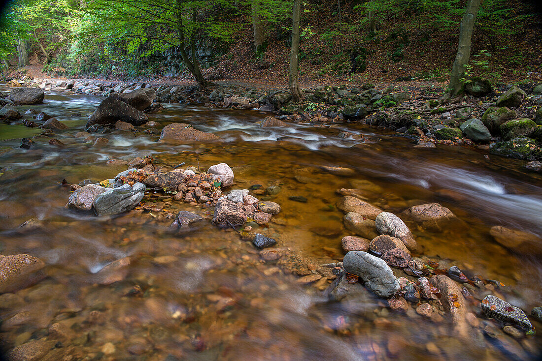 River Ilse, Ilse Valley, Ilsenburg, Harz District, Harz National Park, Saxony-Anhalt, Germany, Europe