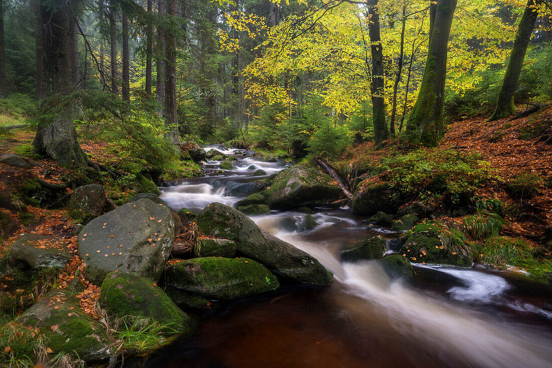 Wasserfall Untere Bodefälle, Fluss Warme Bode, Braunlage, Nationalpark Harz, Niedersachsen, Deutschland, Europa