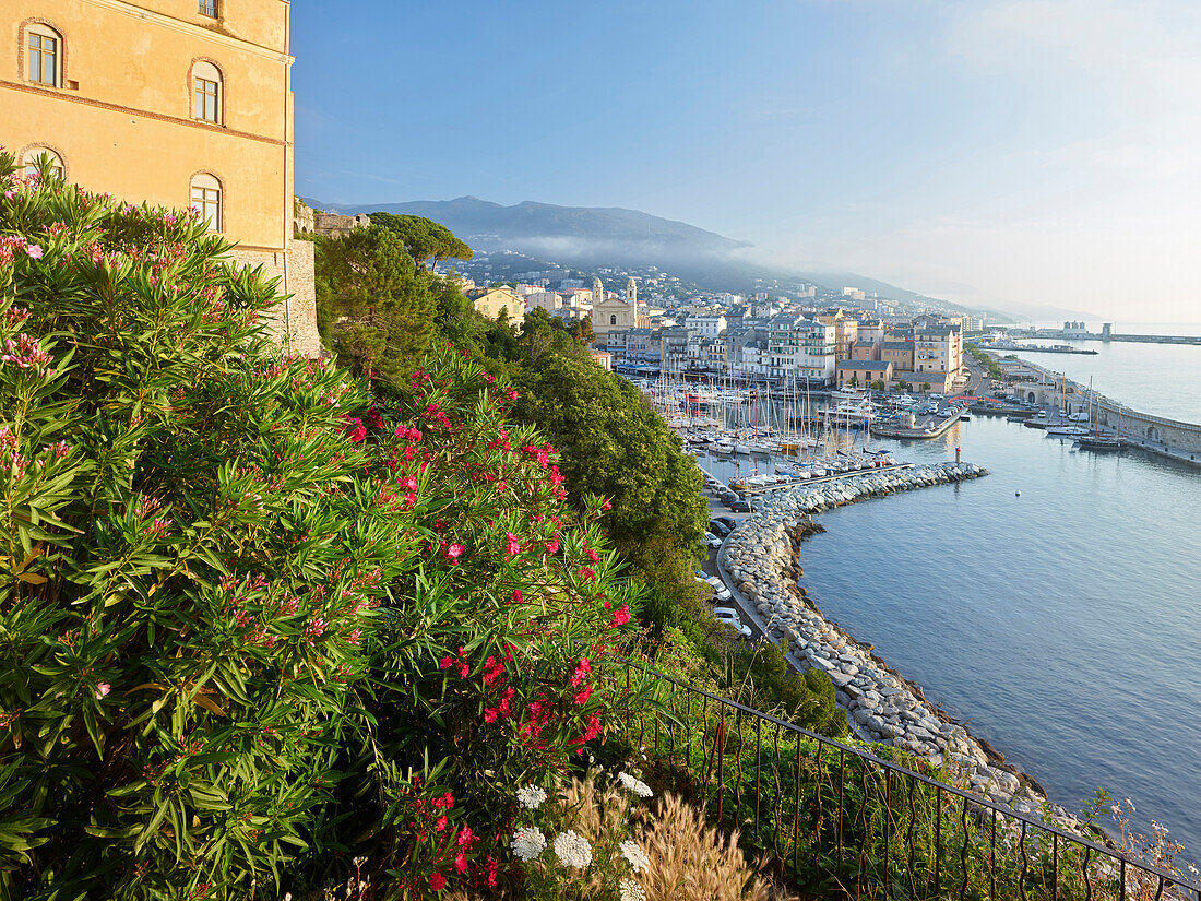 Blick auf den Hafen von Bastia, Haute Corse, Korsika, Frankreich