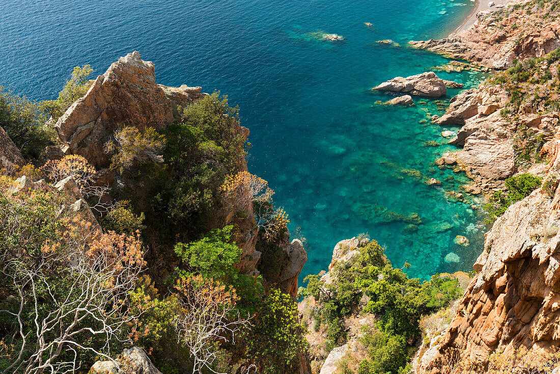 steep coast, bussaglia Golfe The Porto, Corsica, France
