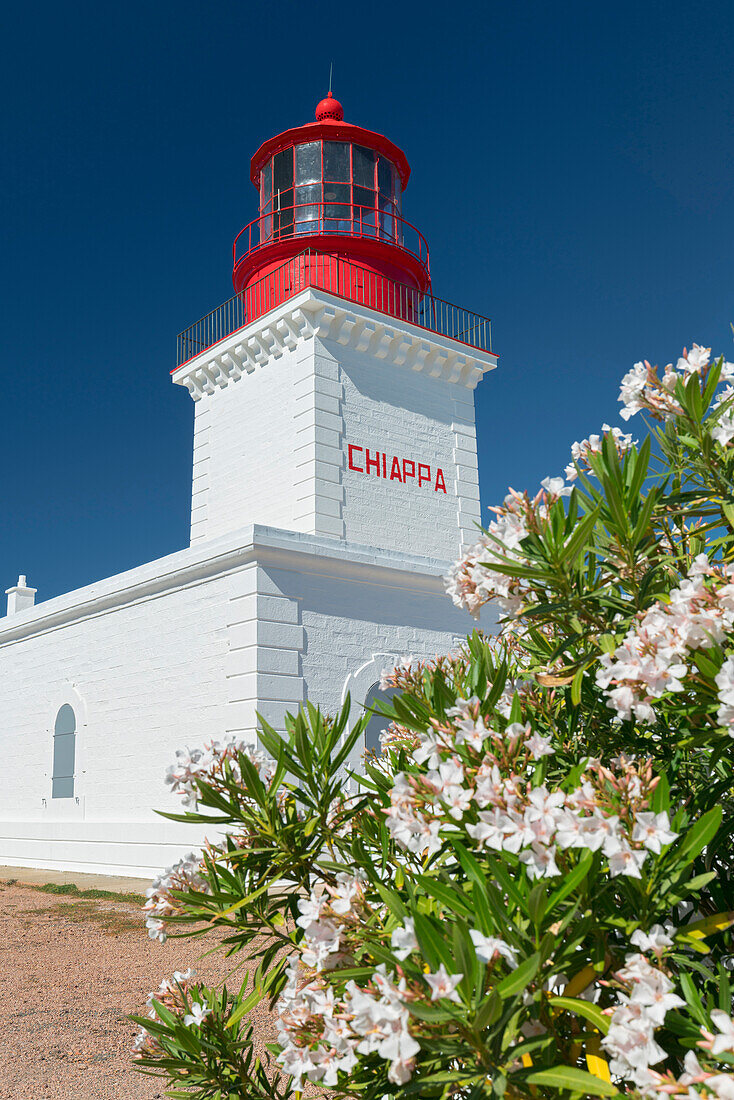 Leuchtturm am Punta Chiappa, Département Corse du Sud, Korsika, Frankreich