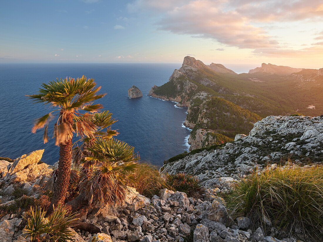 Blick zur Formentor Halbinsel vom Talaia d'Albercutx, Mallorca, Balearen, Spanien