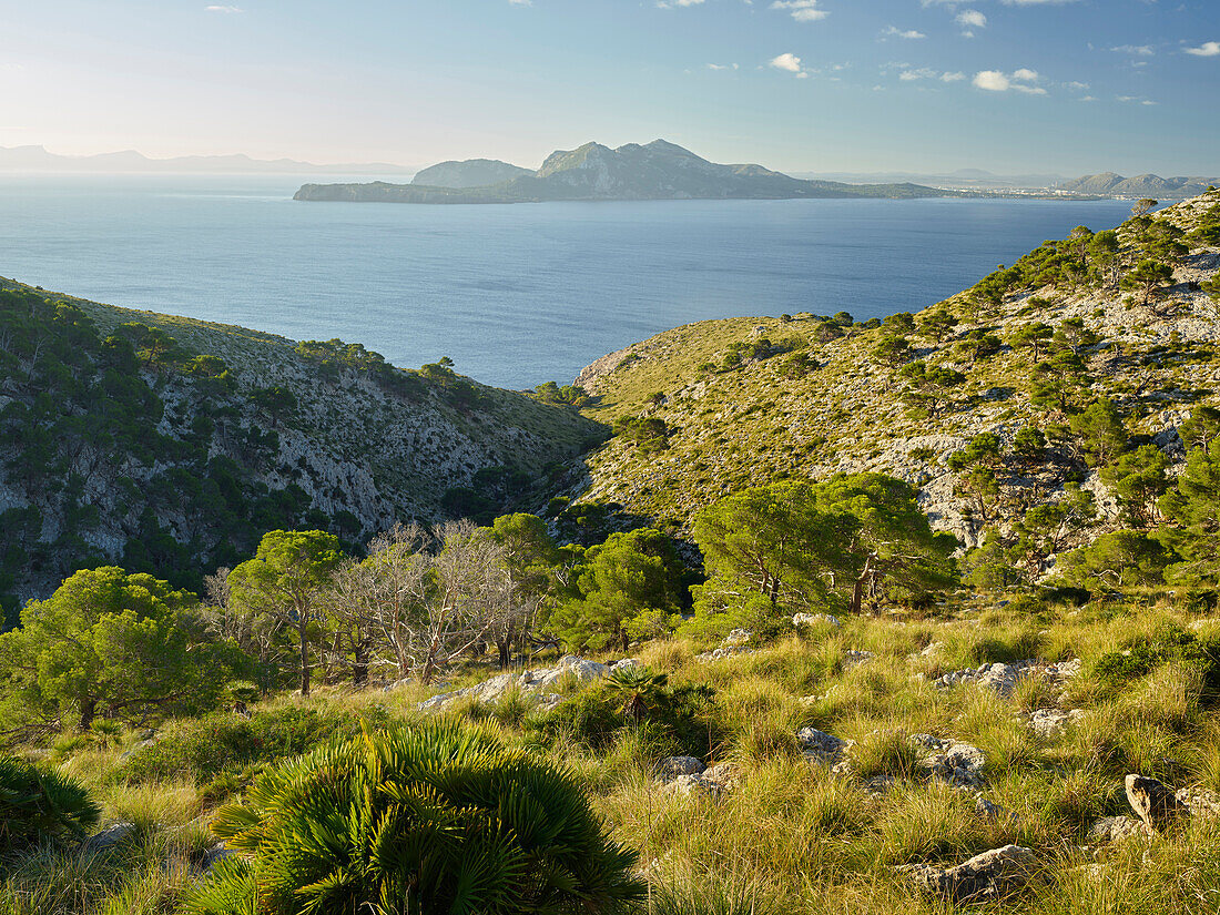 Blick vom Cap de Formantor zur Bucht von Alcudia, Mallorca, Balearen, Spanien