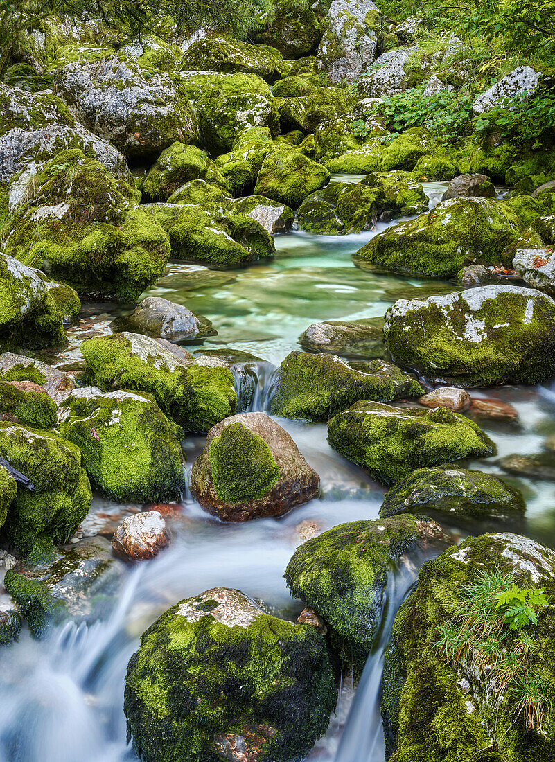 Lepe Jica, lepena valley, Triglav National Park, Slovenia