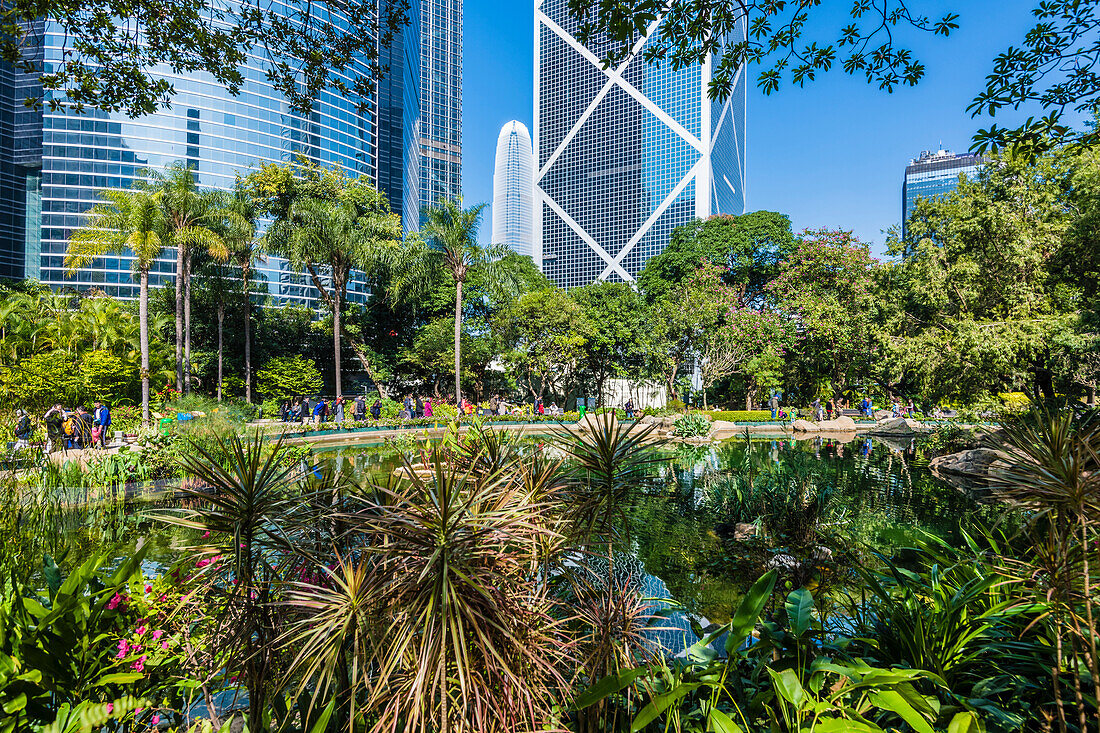 Hong Kong Park on Hong Kong Island with views of the surrounding skyscrapers and the Two International Finance Centre, Hong Kong, China, Asia