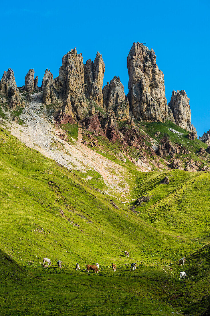 A meadow of the Alpe di Siusi with cows and the mountain range Rosszahne, Siusi, South Tyrol, Alto Adige, Italy