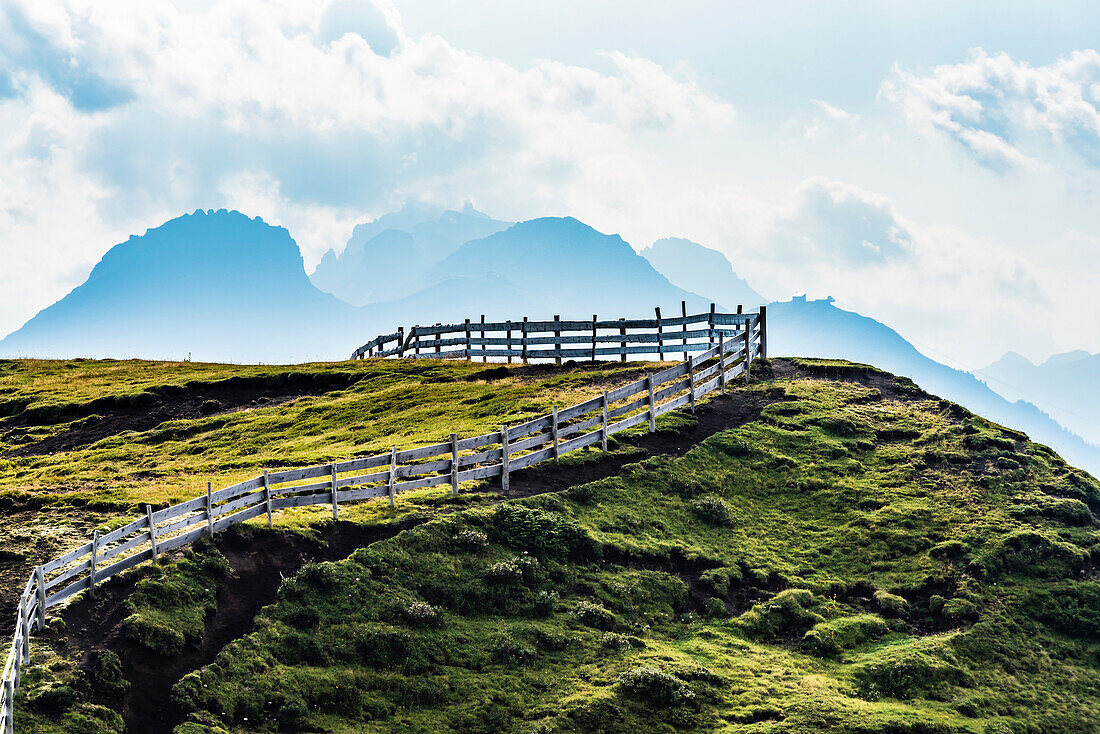 A wood fenced mountain pasture of the Alpe di Siusi, Siusi, South Tyrol, Alto Adige, Italy
