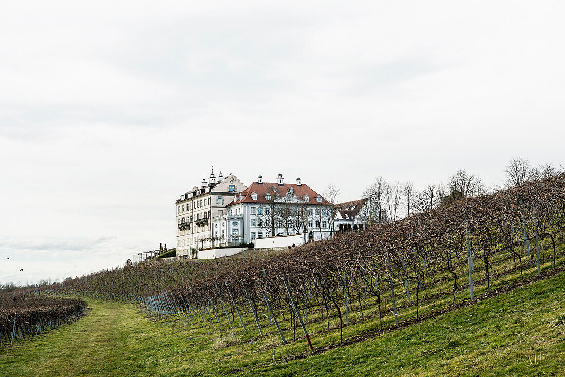 Schloss Kirchberg in den Weinbergen, Immenstaad,  Bodensee, Baden-Württemberg, Deutschland