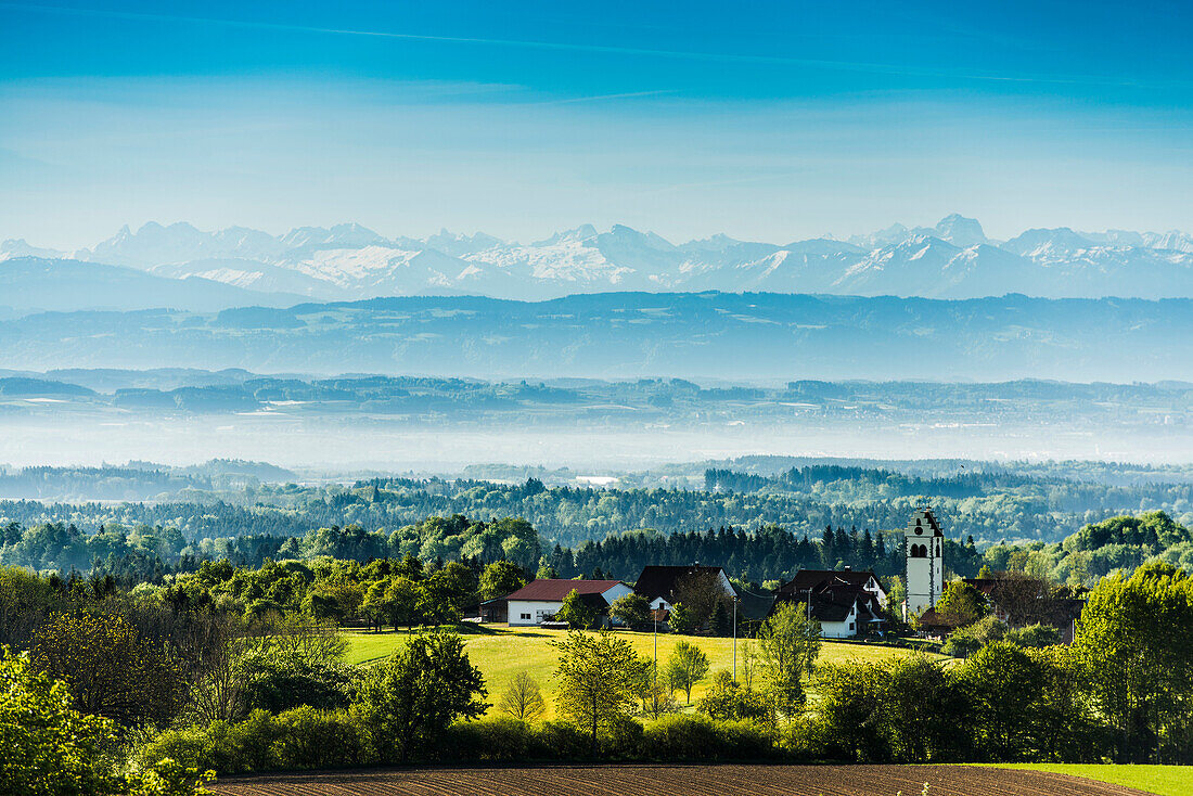 View over Lake Constance with Swiss Alps, Linzgau, Lake Constance,  Baden-Württemberg, Germany