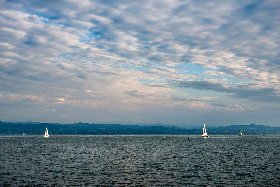 Segelboote, Friedrichshafen, Bodensee, Baden-Württemberg, Deutschland