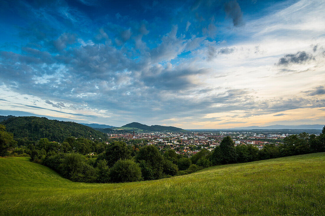 City view of Freiburg and its surroundings, Freiburg im Breisgau, Black Forest, Baden-Württemberg, Germany