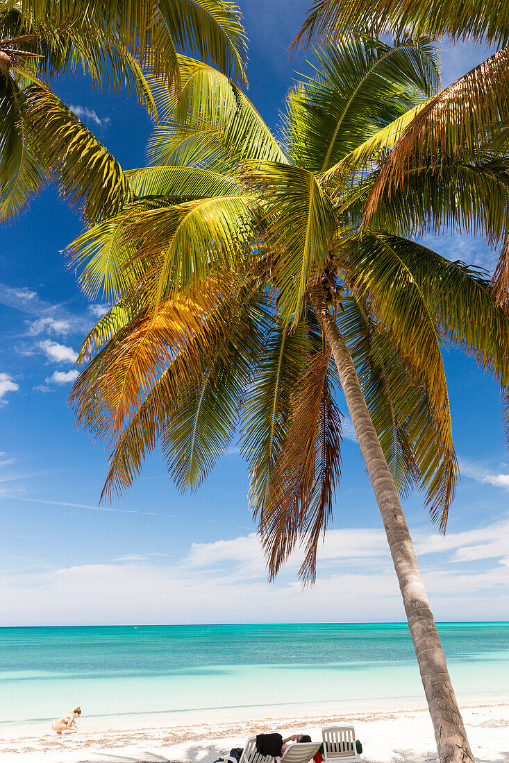 Badevergnügen am Traumstrand Cayo Levisa, baden, schwimmen, Strandurlaub, Touristen, türkisblaues Meer, Sandstrand, Palme, Einsamkeit, Naturverbundenheit, Familienreise nach Kuba, Auszeit, Elternzeit, Urlaub, Abenteuer, Cayo Levisa, Ausflug von Vinales, P