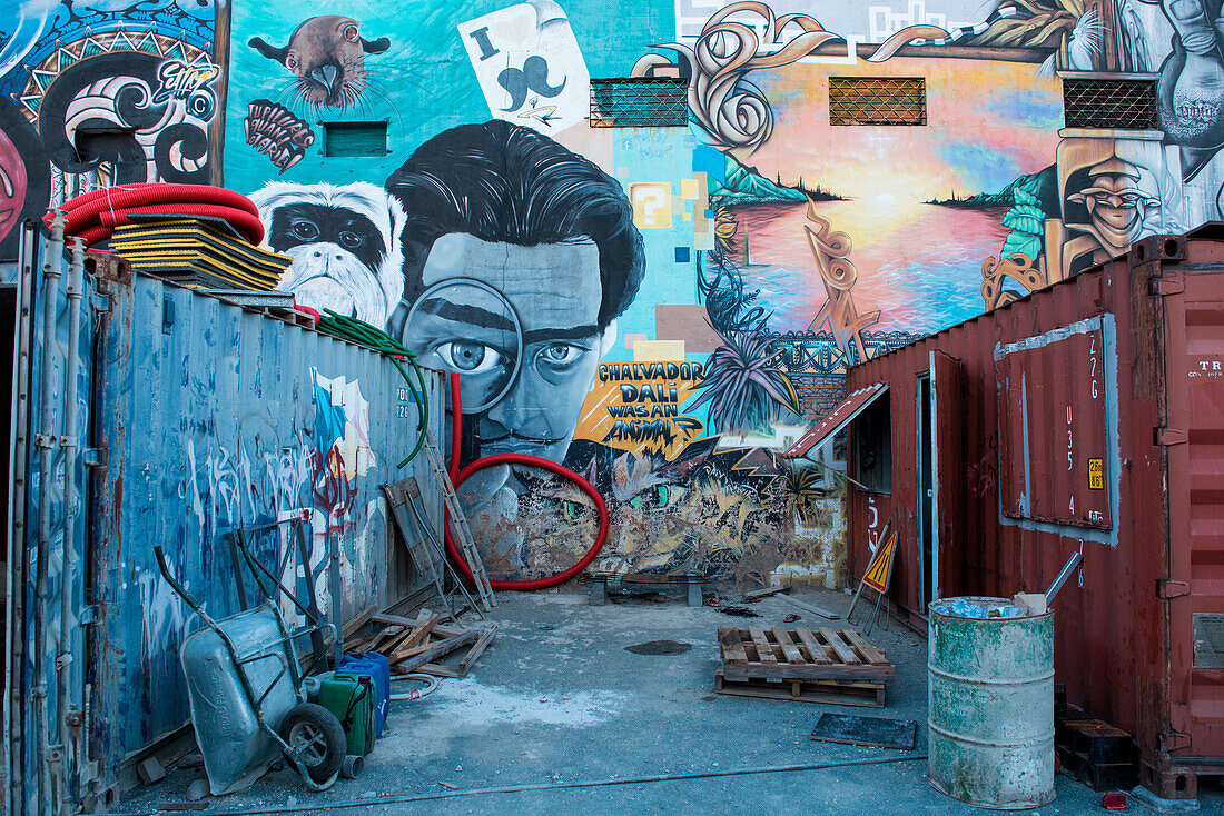 Ein buntes Wandgemälde mit Abbild von Salvador Dali wird von Baumaschinen umrahmt, Noumea, Neukaledonien, Südpazifik