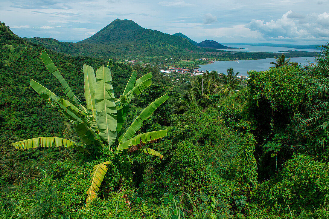 Blick vom Vulkanologischen Observatorium über üppigen Wald, einen Vulkan und die Bucht, Rabaul, East New Britain, Papua-Neuguinea, Südpazifik