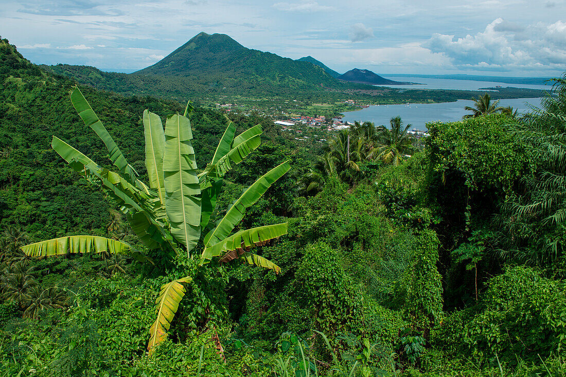 View from the Volcanological Observatorium over lush forest, a volcano and the bay, Rabaul, East New Britain, Papua New Guinea, South Pacific