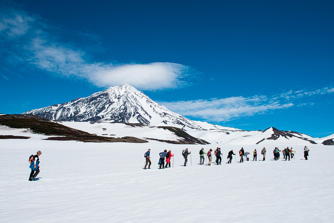 Hikers walk in snow-covered landscape with Koryaksky volcano behind, near Petropavlovsk-Kamchatsky, Kamchatka, Russia, Asia