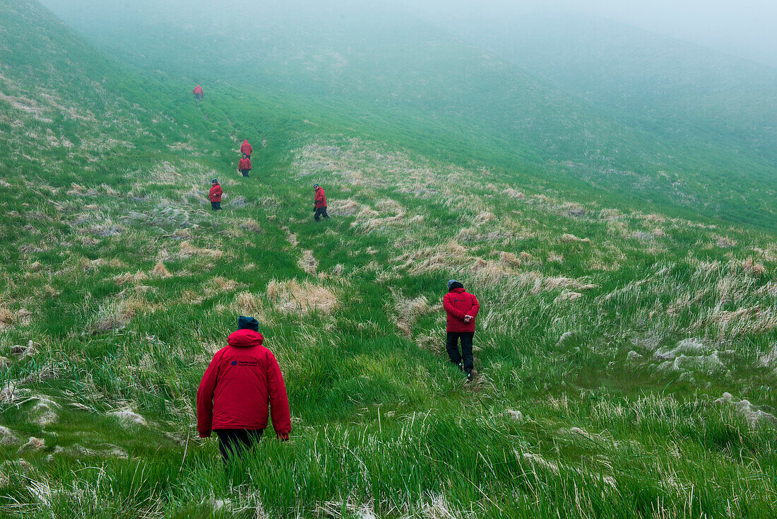 German tourists climb a grassy foggy hill, Yankicho Island, Kuril Islands, Sea of Okhotsk, Russia, Asia
