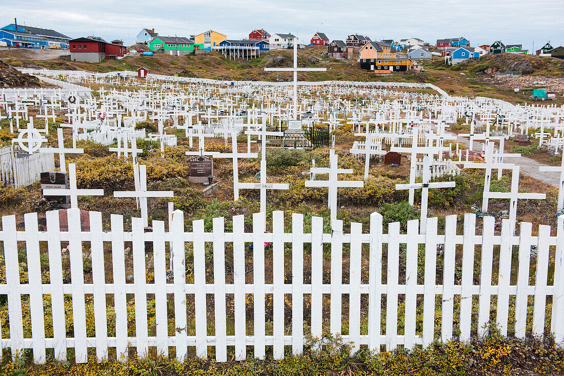Weiße Kreuze sind von einem weißen Lattenzaun auf diesem Friedhof umgeben, Sisimiut, Qeqqata, Grönland