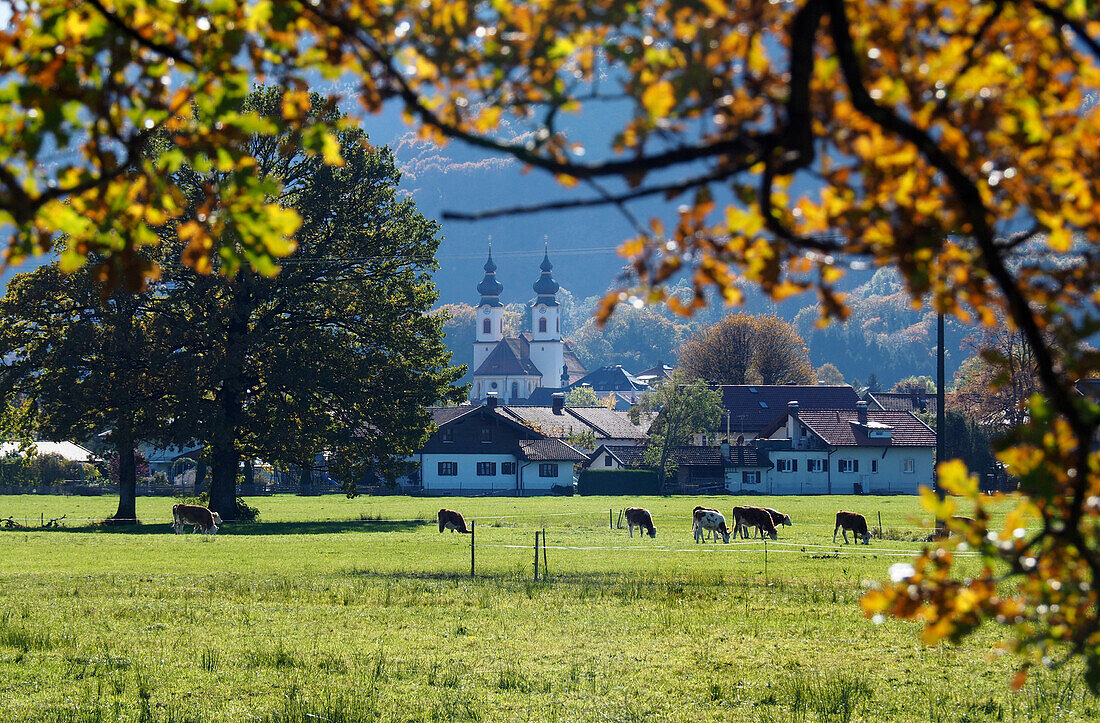 Near Aschau at Chiemgau Alps, Bavaria, Gemany
