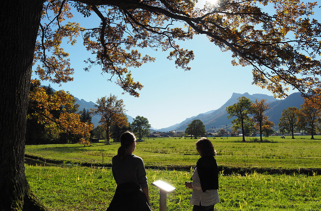 Near Aschau at Chiemgau Alps, Bavaria, Gemany