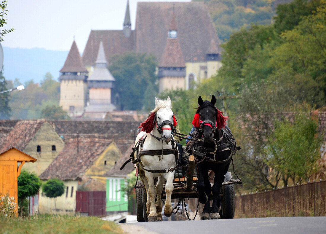 Pferdefuhrwerk auf Strasse, Burg und Kirche Biertan (Birthälm), Siebenbürgen, Rumänien