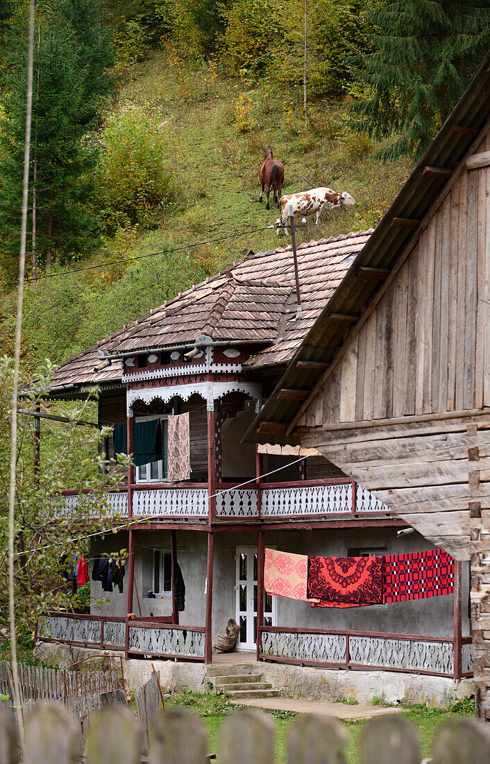 Alter Bauernhof an der Bicaz-Schlucht in den Karpaten bei Bicaz, Rumänien