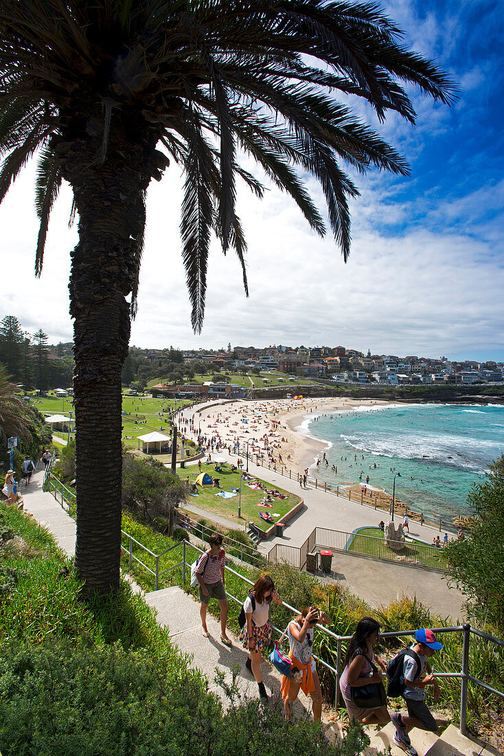 The Bondi to Coogee Walk along Sydney's coastline above Bronte Beach, Sydney, New South Wales, Australia