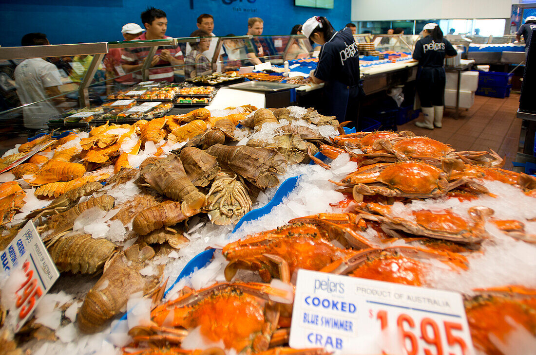 Display in the fish market of Sydney, Sydney, New South Wales, Australia
