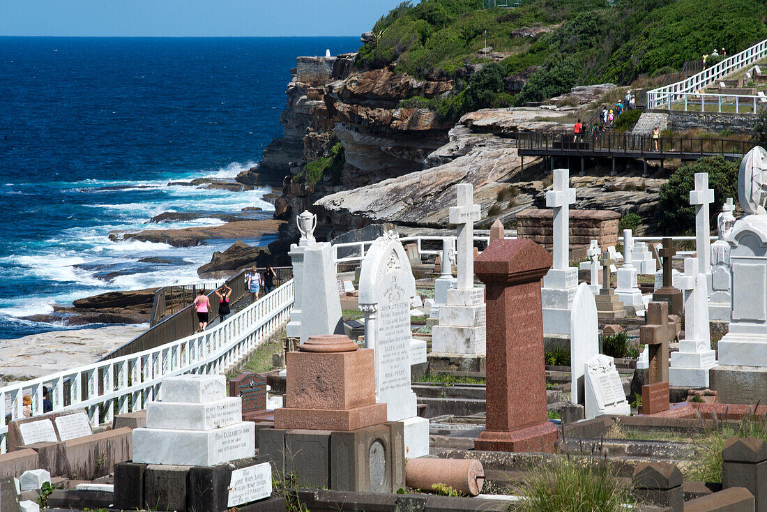 Der Bondi to Coogee Walk entlang der Küste Sydneys führt durch den Friedhof von Waverly, Sydney, New South Wales, Australien