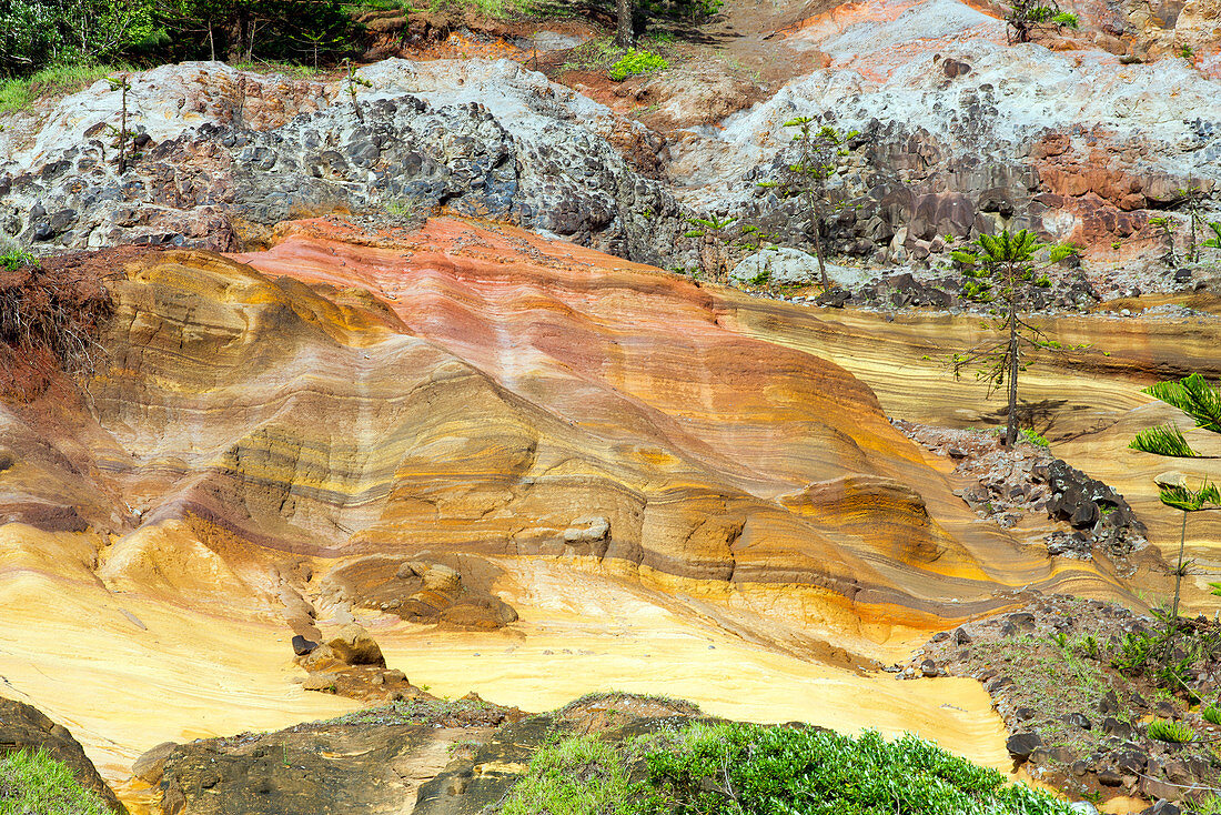 An der Anson Bay ist der vulkanische Fels der Insel exponiert, Australien