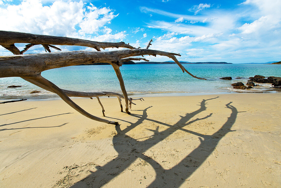 Deserted beach on Cockle Bay in the deep South of Tasmania , Tasmania, Austalia