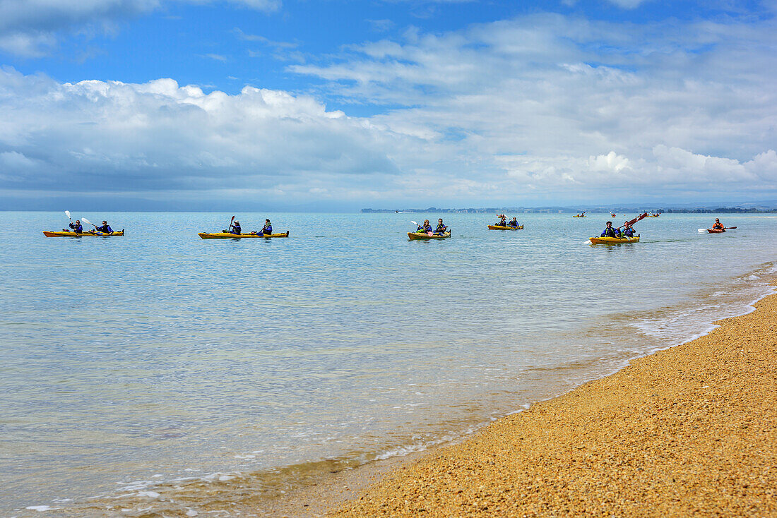 Several persons kayaking in Tasman Bay, Abel Tasman National Park, Tasman, South island, New Zealand