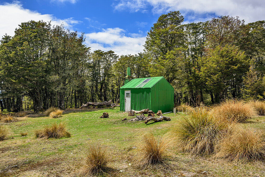 Bealey Spur Hut, Craigieburn Forst Park, Arthur's Pass, Canterbury, South island, New Zealand
