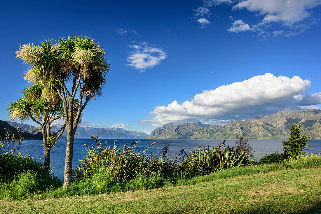 Lake Hawea, Mount Aspiring National Park, UNESCO Welterbe Te Wahipounamu, Queenstown-Lake District, Otago, South island, New Zealand