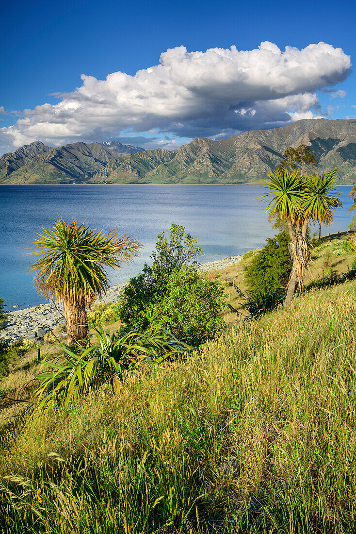 Lake Hawea, Mount Aspiring Nationalpark, UNESCO Welterbe Te Wahipounamu, Queenstown-Lake District, Otago, Südinsel, Neuseeland