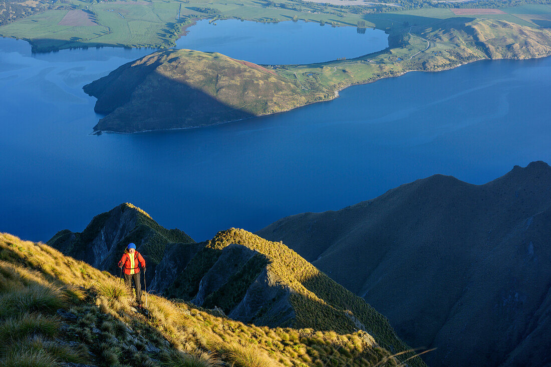Woman hiking ascending towards Roys Peak, view to Lake Wanaka, from Roys Peak, Harris Mountains, Mount Aspiring National Park, UNESCO Welterbe Te Wahipounamu, Queenstown-Lake District, Otago, South island, New Zealand