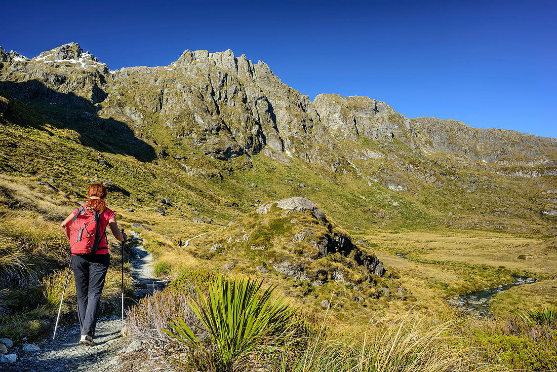 Woman hiking through mountain valley, Routeburn Track, Great Walks, Fiordland National Park, UNESCO Welterbe Te Wahipounamu, Queenstown-Lake District, Otago, South island, New Zealand