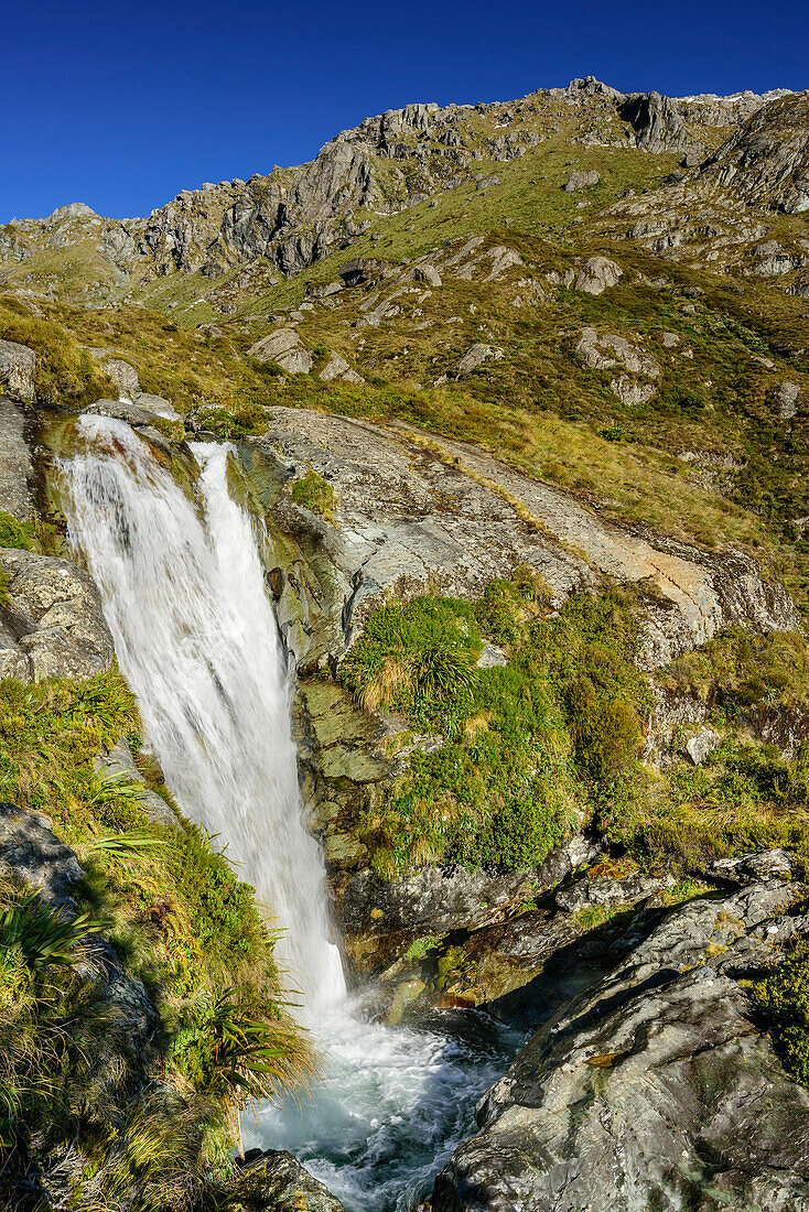 Routeburn-Wasserfall, Routeburn Track, Great Walks, Fiordlands Nationalpark, UNESCO Welterbe Te Wahipounamu, Queenstown-Lake District, Otago, Südinsel, Neuseeland