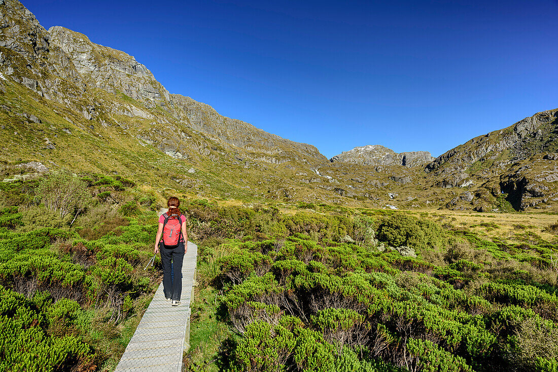 Frau wandert auf Holzsteg durch Gebirgstal, Routeburn Track, Great Walks, Fiordlands Nationalpark, UNESCO Welterbe Te Wahipounamu, Queenstown-Lake District, Otago, Südinsel, Neuseeland