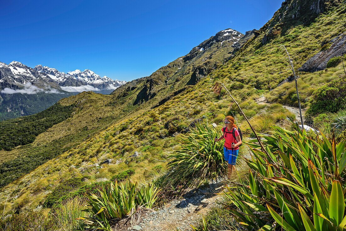 Frau wandert auf Routeburn Track mit neuseeländischen Südalpen im Hintergrund, Routeburn Track, Great Walks, Fiordlands Nationalpark, UNESCO Welterbe Te Wahipounamu, Queenstown-Lake District, Otago, Südinsel, Neuseeland