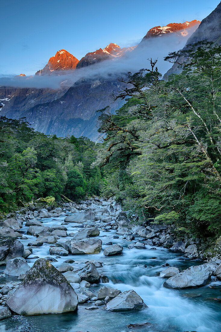 Fluss Hollyford River mit neuseeländischen Südalpen im Alpenglühen, Fiordlands Nationalpark, UNESCO Welterbe Te Wahipounamu, Southland, Südinsel, Neuseeland