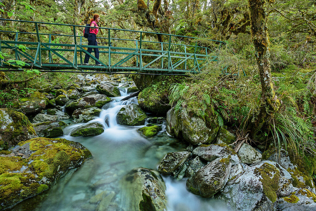 Woman hiking on bridge over river, Routeburn Track, Great Walks, Fiordland National Park, UNESCO Welterbe Te Wahipounamu, Queenstown-Lake District, Otago, South island, New Zealand